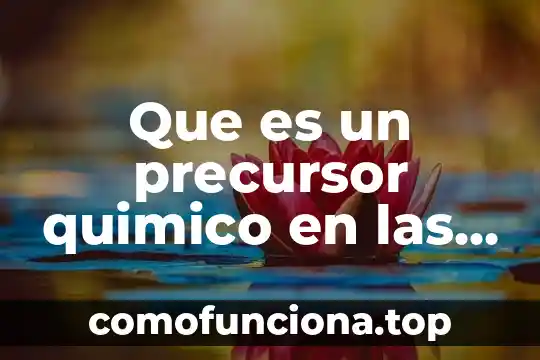 Que es un elemento quimico y que lo define 3 Que es un precursor quimico en las drogas