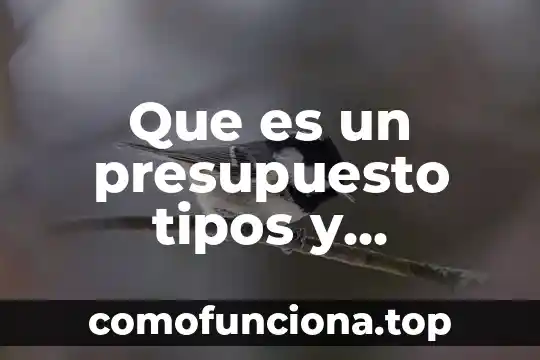 Que es una analisis critico de ventajas y desventajas 3 Que es un presupuesto tipos y ventajas