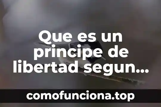 Que es el pensamiento segun immanuel kant 6 Que es un principe de libertad segun kant