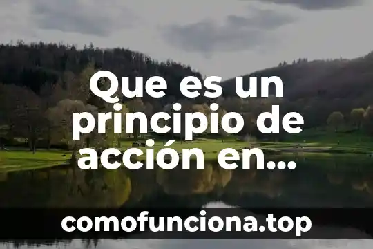 Que es el principio de pareto en administracion 4 Que es un principio de acción en amparo