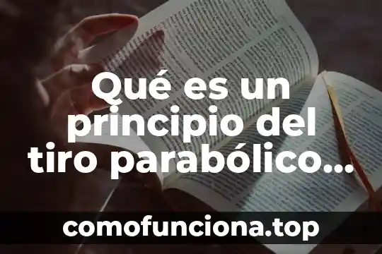 Qué es el movimiento parabólico ejemplos 6 Qué es un principio del tiro parabólico en física