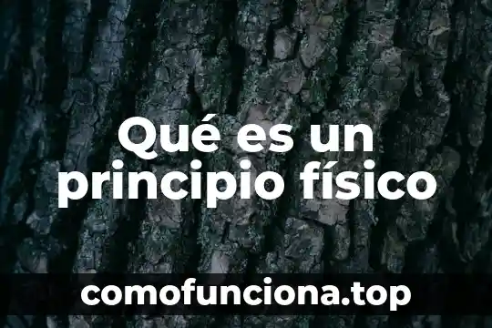 Que es un daño fisico 6 Qué es un principio físico