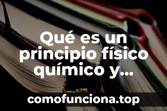 Qué es el principio pro persona jurisprudencia 4 Qué es un principio físico químico y biológico