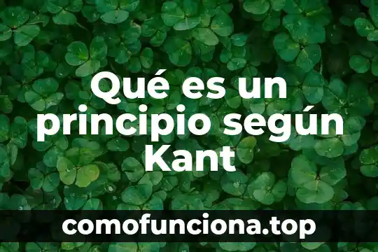 Qué es el principio pro persona jurisprudencia 6 Qué es un principio según Kant