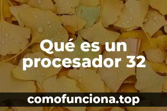 Que es procesador spd 5 Qué es un procesador 32