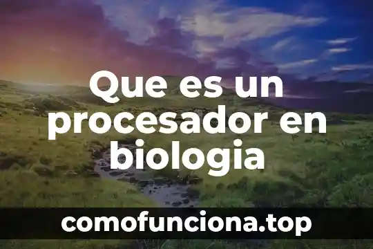 Qué es el número de transiciones en un procesador 4 Que es un procesador en biologia