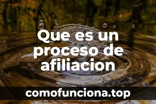 Qué es número de afiliación al seguro popular 5 Que es un proceso de afiliacion