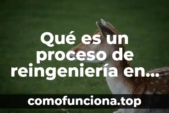 Empresa de sociedad anónima que es 3 Qué es un proceso de reingeniería en una empresa