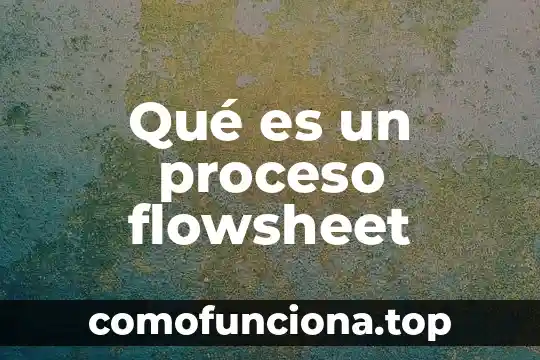 Qué es el patrimonio neto de un proyecto financiero 6 Qué es un proceso flowsheet
