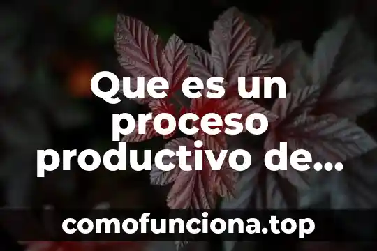 Diagramas de que es un productivo 3 Que es un proceso productivo de actividades