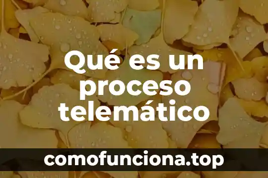 Que es el proceso de adquisicion de territorio deshabitado historia 6 Qu茅 es un proceso telem谩tico