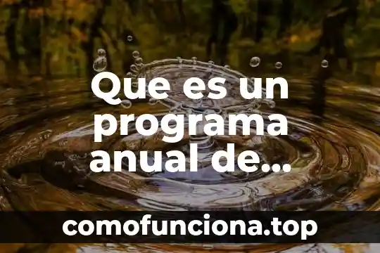 Que es el vegetal en dibujo en planta vegetal 3 Que es un programa anual de evaluación