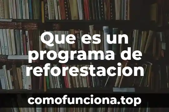 Que es on7 en electrica 7 Que es un programa de reforestacion