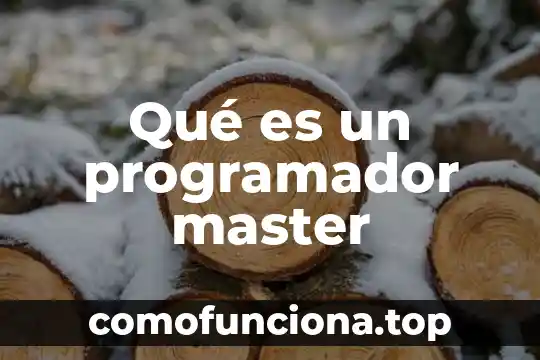 Que es ser master race 4 Qué es un programador master