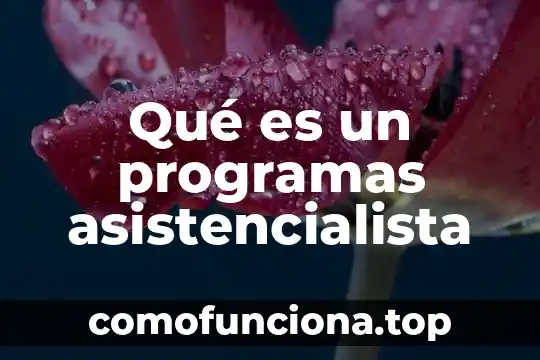 Programas wellness que es 7 Qué es un programas asistencialista