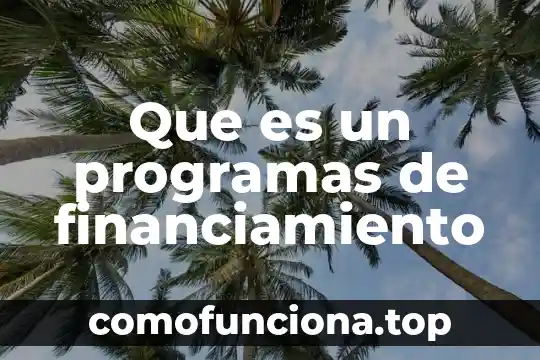 Que es un nombre dominio en los programas de computacion 3 Que es un programas de financiamiento