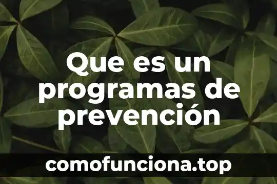 Que es un nombre dominio en los programas de computacion 6 Que es un programas de prevención