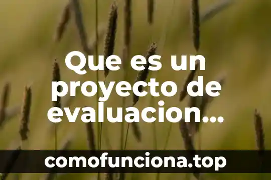 Que es la evaluacion significado 6 Que es un proyecto de evaluacion educativo