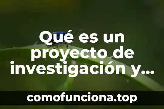 Que es un proyecto darba 3 Qué es un proyecto de investigación y sus elementos organizacionales