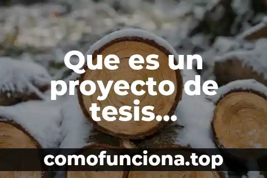 Que es objetivo general tesis 4 Que es un proyecto de tesis comentario