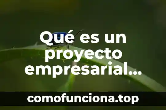 Para qué es importante hacer un proyecto de vida 6 Qué es un proyecto empresarial características