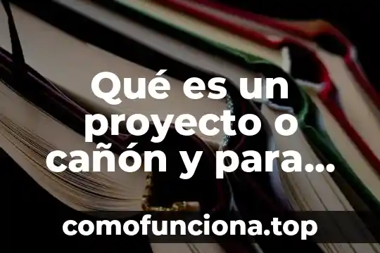 Que es ser canon en anime 4 Qué es un proyecto o cañón y para qué sirve