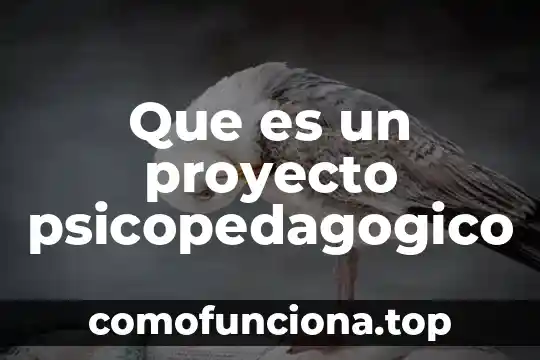 Que es un proyecto de intervencion psicopedagogico concepto 3 Que es un proyecto psicopedagogico