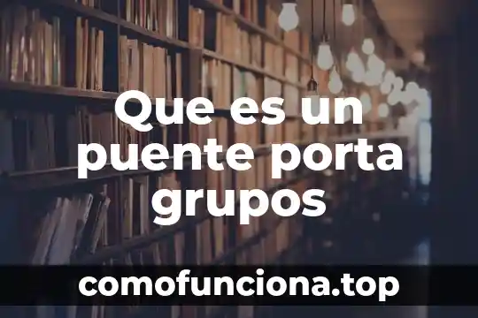 Que es un porta objetos para papanicolaou 4 Que es un puente porta grupos