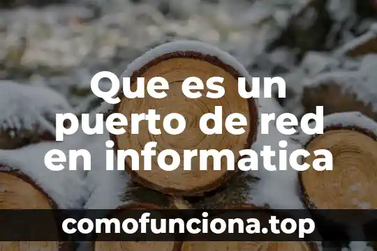Qué es el patrimonio neto de un proyecto financiero 4 Que es un puerto de red en informatica