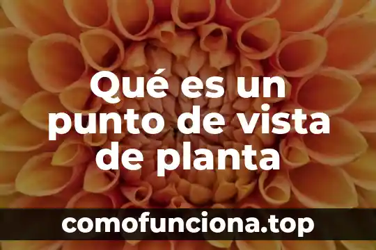 Que es ela igiene familiarel punto de vista cientifico 7 Qué es un punto de vista de planta