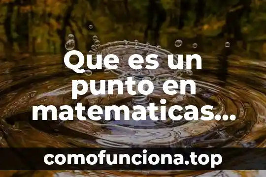 Qué es número con signo en matemáticas 7 Que es un punto en matematicas ejemplos