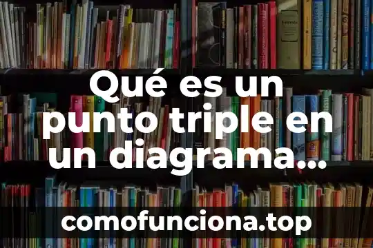 Qué es un punto de vista de planta 5 Qué es un punto triple en un diagrama de fases