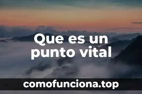 Que es el ciclo vital del ser humano 8 Que es un punto vital