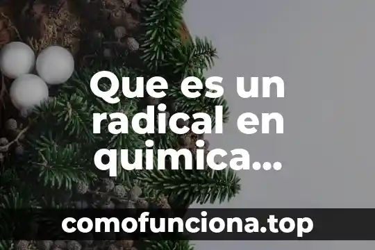 Que es la democracia moderna su significado radical 7 Que es un radical en quimica ejemplos