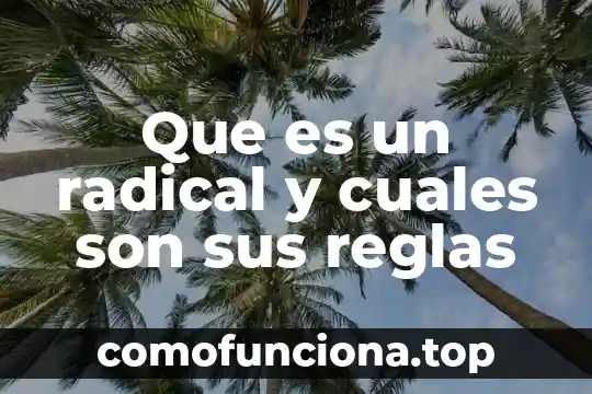 Que es la democracia moderna su significado radical 4 Que es un radical y cuales son sus reglas