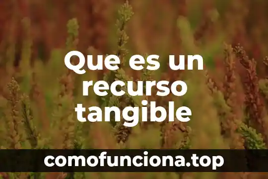 Que es un elemento tangible o intangible 7 Que es un recurso tangible