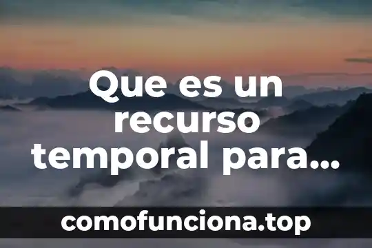 Que es la regulacion espacio temporal de la expresion genica 3 Que es un recurso temporal para una empresa de ropa