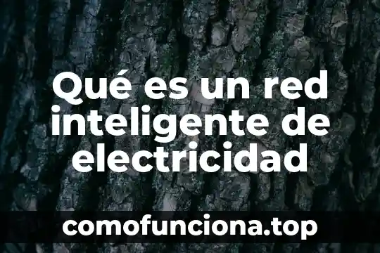 Lubbers arquitectura que es 4 Qué es un red inteligente de electricidad