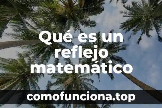 Qué es un espiral de durero matemático 7 Qué es un reflejo matemático