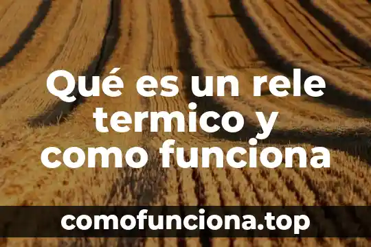 Que es equilibrio termico dibujos 6 Qué es un rele termico y como funciona