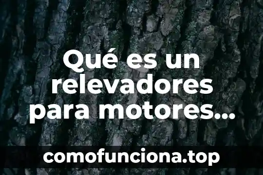 Que es el principio de legalidad en derecho 5 Qué es un relevadores para motores eléctricos