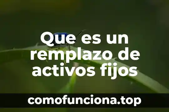 Control de activos fijos que es 4 Que es un remplazo de activos fijos