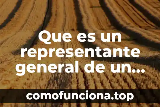 Que es un harakiri politico 4 Que es un representante general de un partido politico