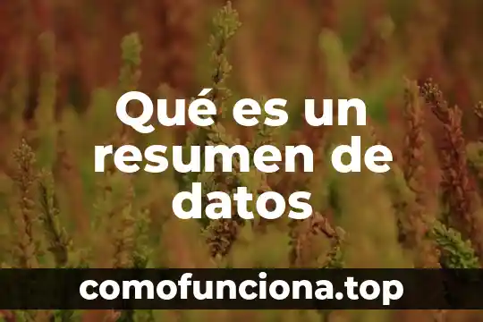 Qué es un resumen ejepols 6 Qué es un resumen de datos