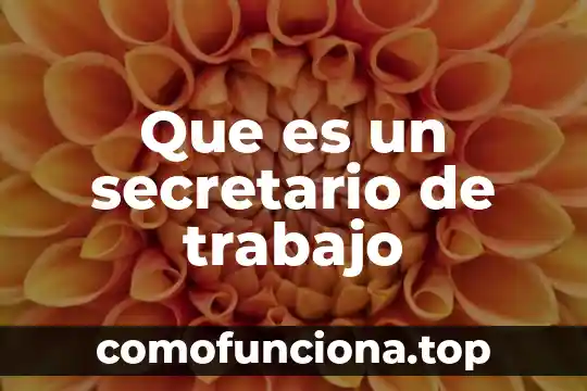 Que es el derecho secretario 5 Que es un secretario de trabajo