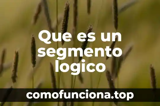 Que es el pensamiento logico matematico infantil 7 Que es un segmento logico