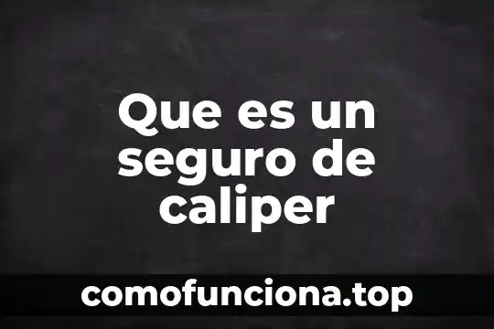 Que es el pete seguro 4 Que es un seguro de caliper