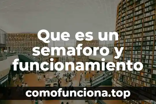 Qué es mal funcionamiento intestinal 4 Que es un semaforo y funcionamiento
