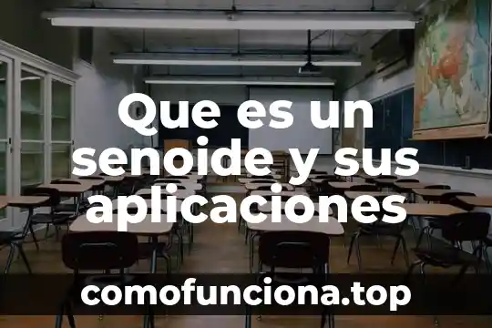 Que es aplicaciones de la red 4 Que es un senoide y sus aplicaciones