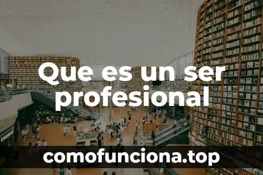 Ensayo de que es ser profesional 5 Que es un ser profesional
